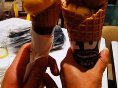 -哈根达斯(陆家浜路店)