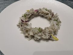 -丁老爷子苏香圆