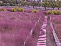 -嘉北郊野公园