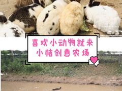 -前小桔亲子创意农场·草莓采摘·露营烧烤