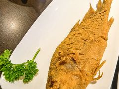 -老牌坊鲁菜名店(聊城美食岛店)