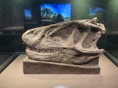 -自贡恐龙博物馆