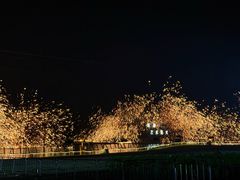 -南宁花花大世界景区