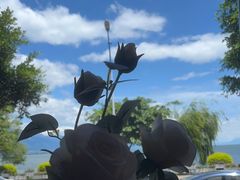 -野菌皇海景野生菌火锅(滨海大道店)