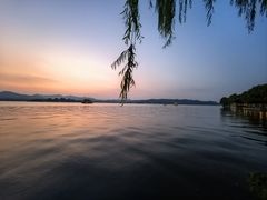 -杭州西湖柳莺里酒店·闻莺厅