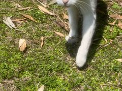 -苏州河梦清园环保主题公园