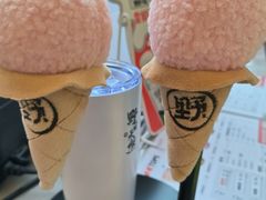 -野人先生现做冰淇淋(北京悠唐购物中心店)