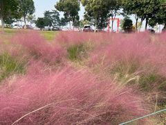 -钟山体育运动公园