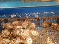 -鲜货俚鲜火锅(青果路店)