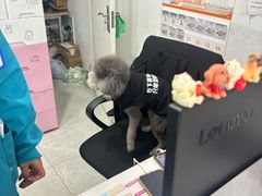 -中农国际动物医院24小时·猫科·骨科·急重症中心