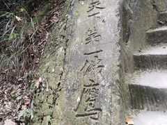 -南山植物园