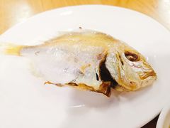 -长平肥姐白粥·海鲜打冷