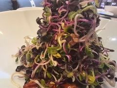 -醉霖生态餐厅(交大店)