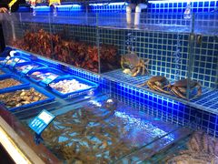 水产区-必点海鲜·鲅鱼水饺(鞍山西道店)