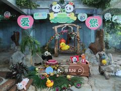 -海南热带野生动植物园