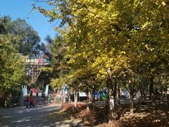 -长白岛森林公园