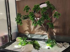 -楚禾宴·家宴(光谷大道店)