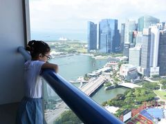 -新加坡瑞士史丹福酒店