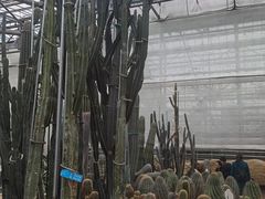 -南山植物园
