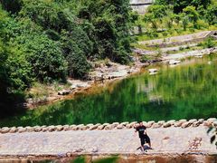 -大奇山国家森林公园