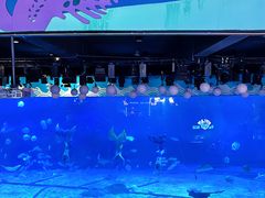 -烟台海昌鲸鲨海洋公园