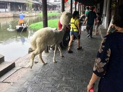 -西塘万安桥农家菜