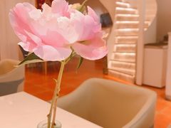 -伊斯坦布尔土耳其清真咖啡餐厅