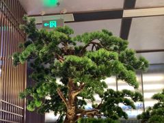 -聆桂烤鸭·金奖烤鸭(静联广场店)