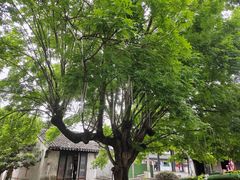 -千灯古镇