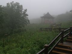 -凤凰山国家森林公园