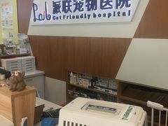 -派联宠物医院·24h·CT·异宠
