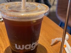 -Wagas沃歌斯(汇智店)