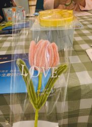 -致友月子会所(麓湖店)