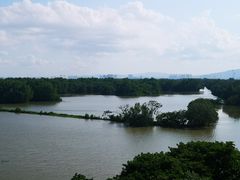 -大湾区中央湿地公园