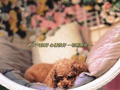 -海韵乐宿露营民宿