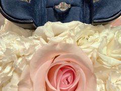 -Harry Winston 海瑞温斯顿