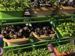 自助取餐区-大匠工房古船木艺术餐厅·猪肚鸡专门店(长白仙岛店)