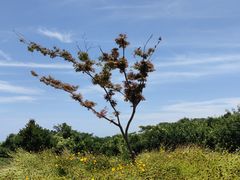 -南京市江宁方山