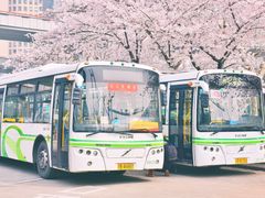 -上海南浦大桥长途旅游客运站
