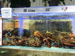 -超级物种·波龙工坊(国贸店)