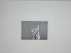 -胶囊画廊