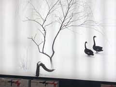 -BLACKSWAN黑天鹅(环球店)