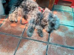 -老宅原住民沙茶面精品小吃(龙头路店)