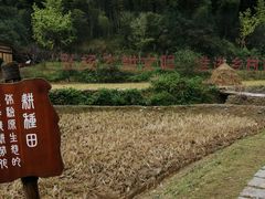 -常德桃花源景区