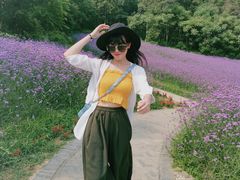 -大塘金香草谷