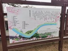-桃花堤公园