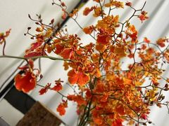 -泉州海丝野生动物世界