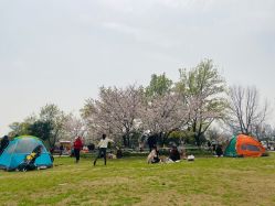 -玄武湖景区-情侣园游乐场