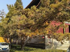 -挂甲禅寺