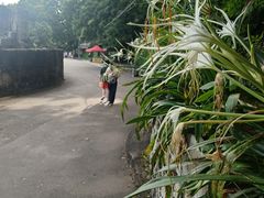 -威远炮台
